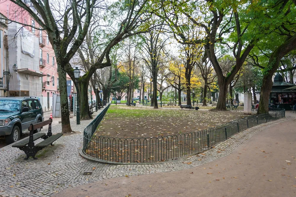 The Mulberry Tree Lisbon Hostel