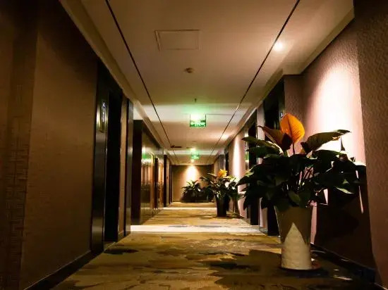 Yiyuan Anxin Hotel