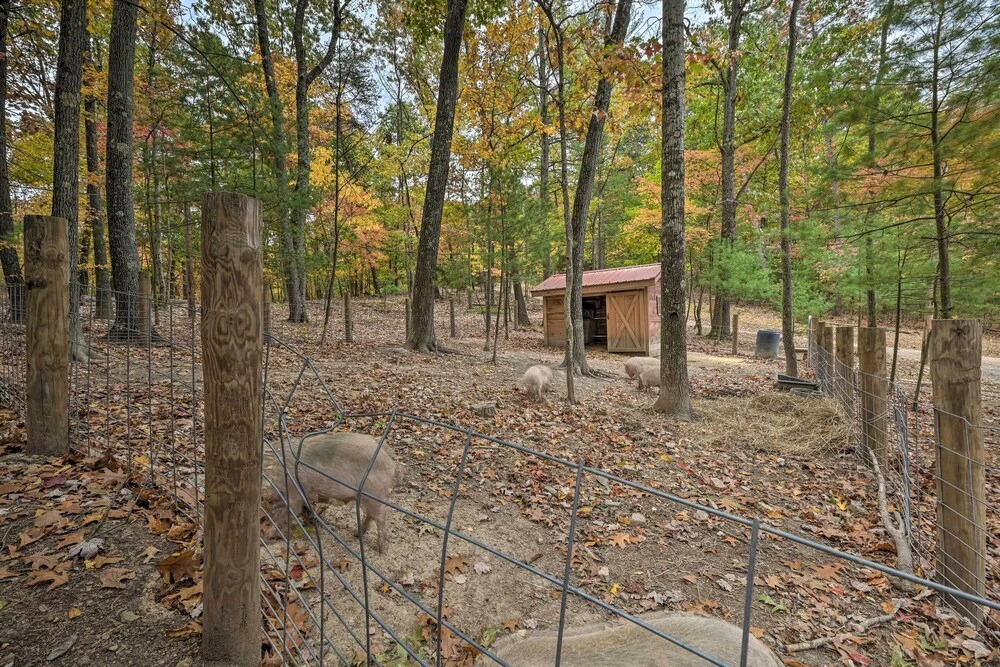 'lone Ranger' Cabin by Raystown Lake