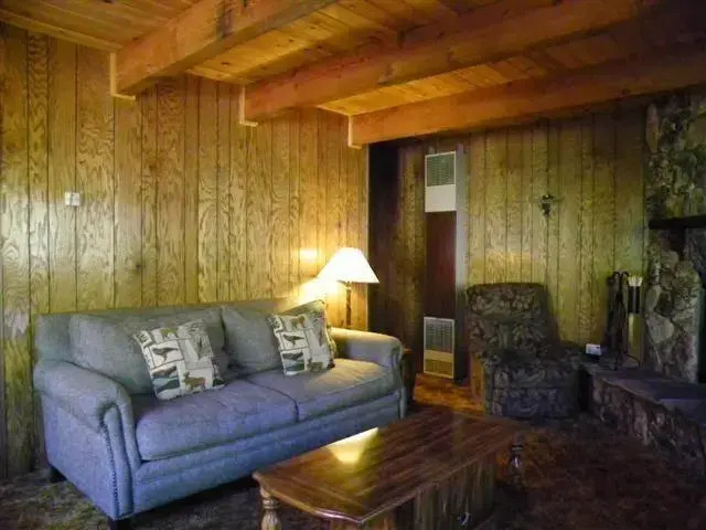 Cute Cozy Comfort by Big Bear Cool Cabins
