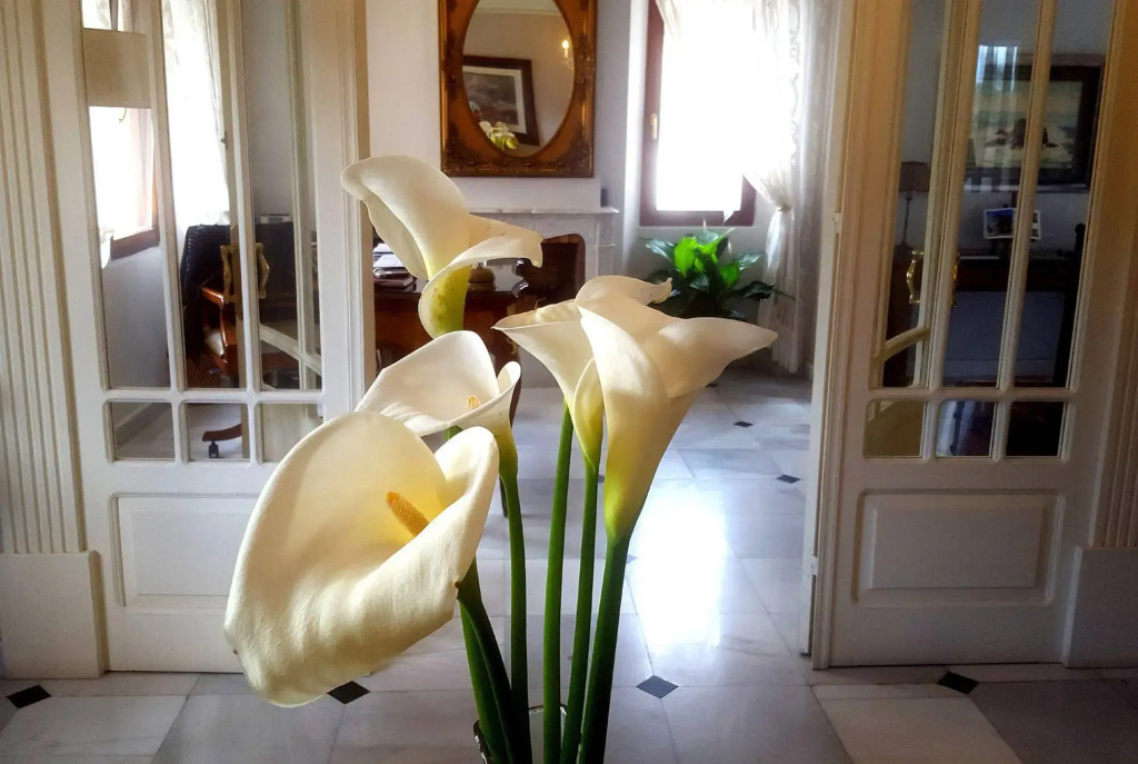 Indiana Boutique Hotel