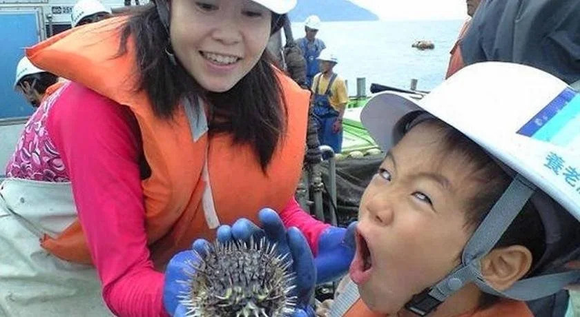 森林公園スイス村 風のがっこう京都