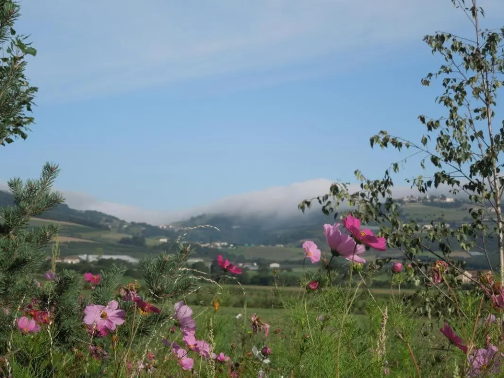 Relais de navon