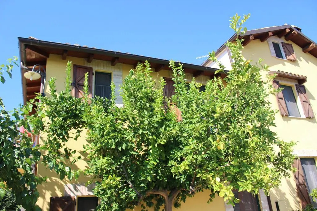 B&B Rosa Dalfonsina