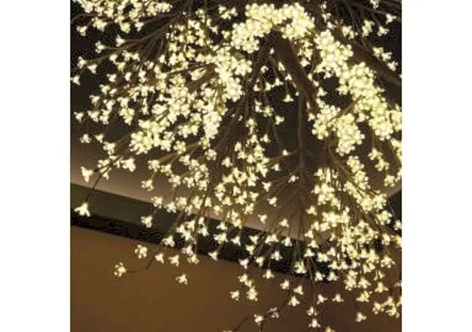 Sakura Sky Hotel - Vacation STAY 18445v