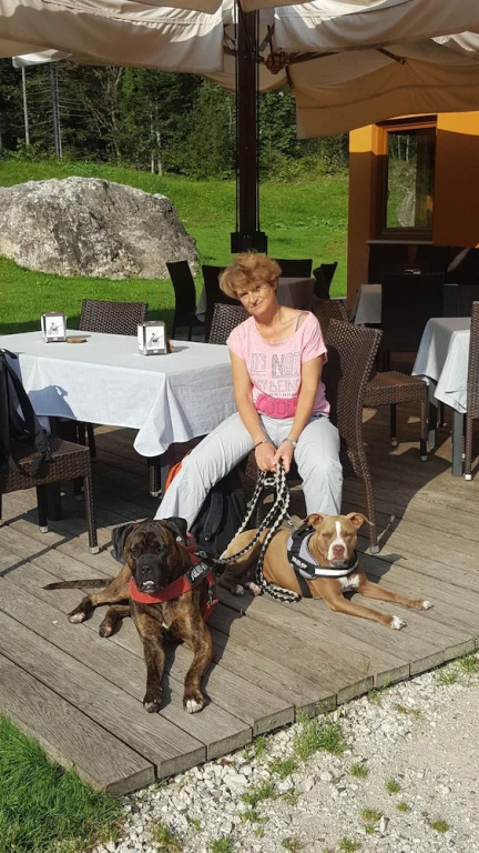 B&B Alle Betulle
