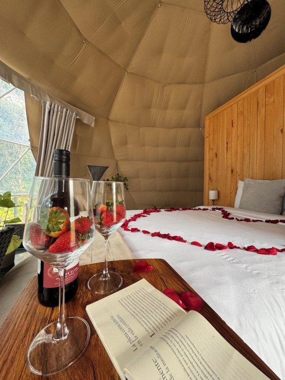 Epífita Glamping Monteverde
