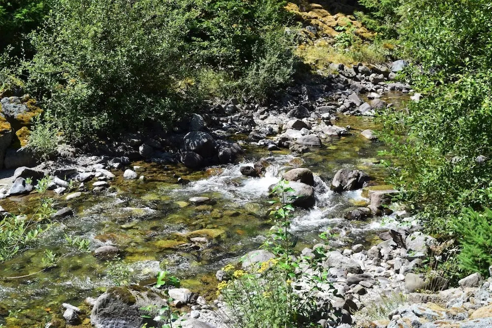 Rustic Rapids