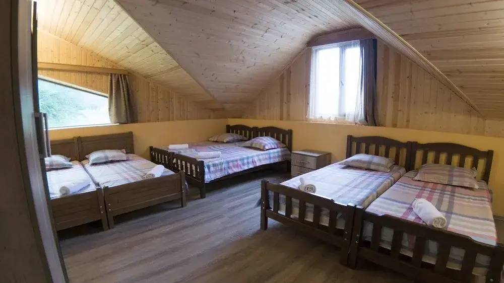 Hotel Eco House In Bakuriani