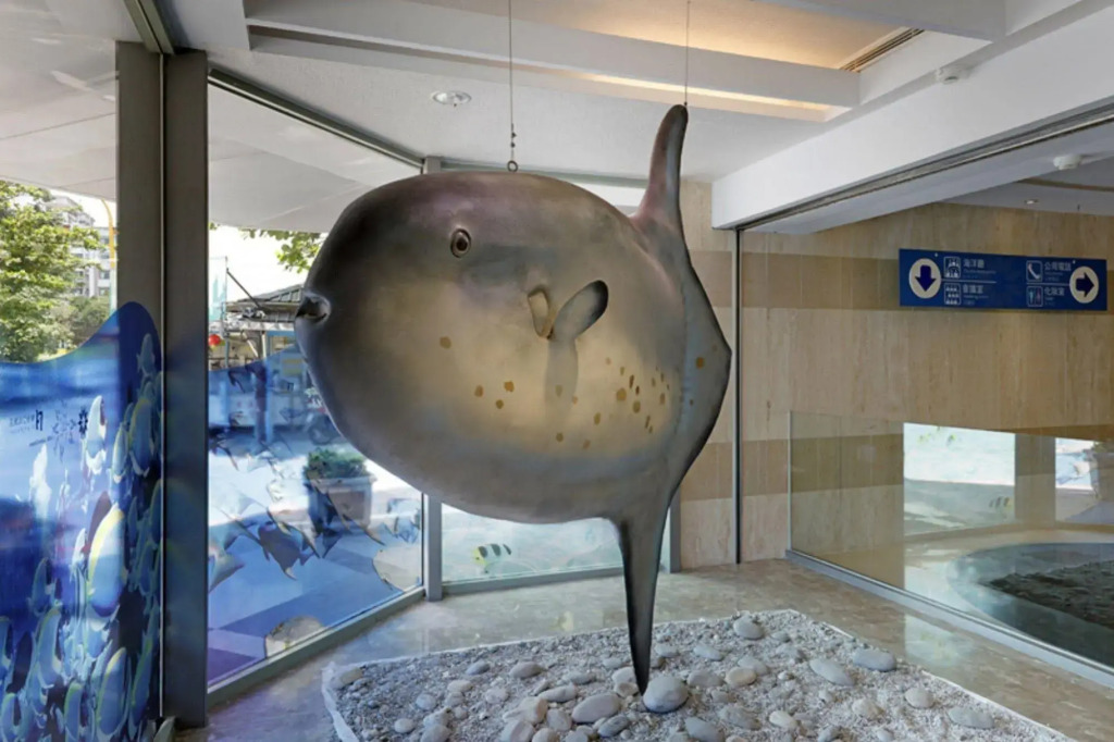 Fish Hotel Hualien