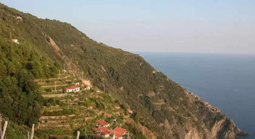 La Volpe e lUva Mare