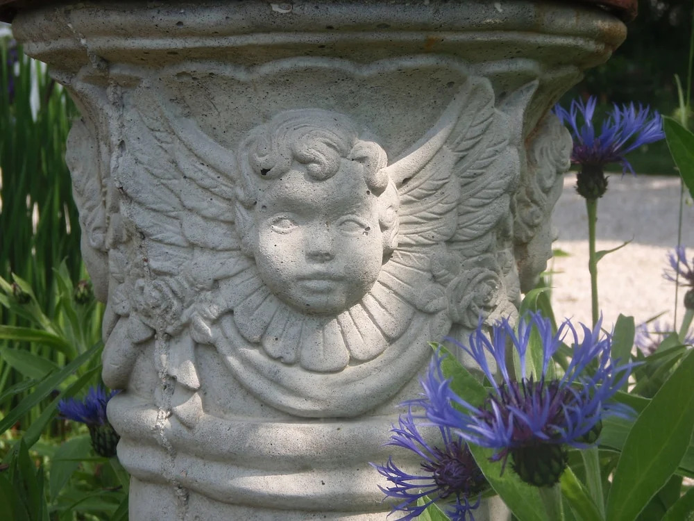 Martha's Vineyard Bed & Breakfast