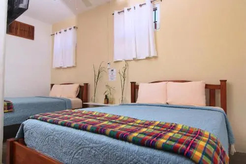 Rainforest Haven Inn
