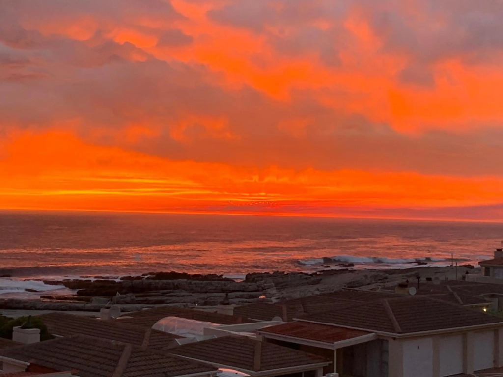 Whales & Waves
