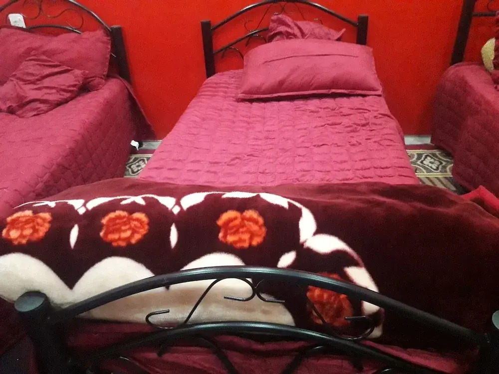 wadirum hostel