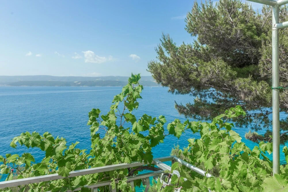 Apartments Villa Iva