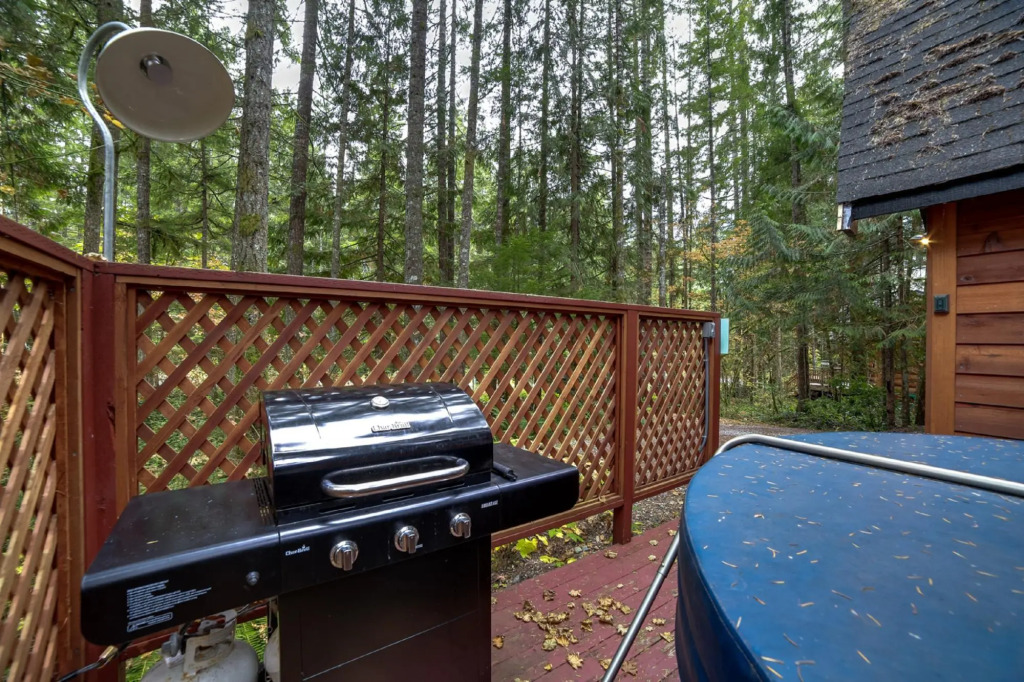 Mt Baker Lodging Cabin 16 - Sleeps 2