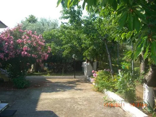 Alba Studio Thassos