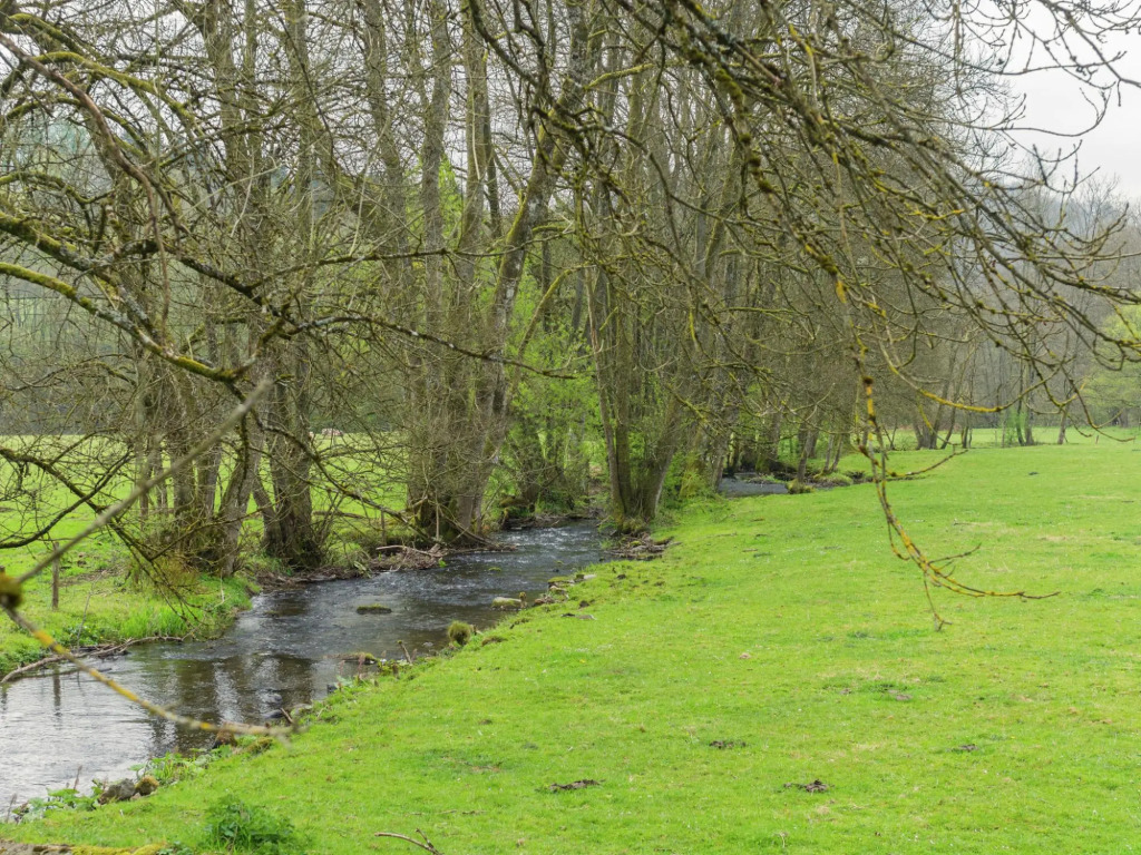 Wonderful Holiday Home in Noirefontaine