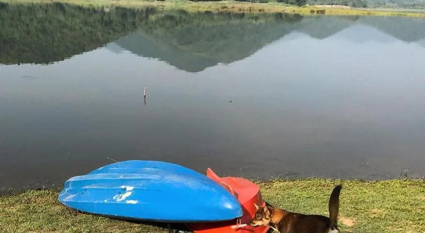 T and P Lake View