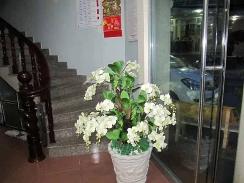 Lam Phuc Hotel