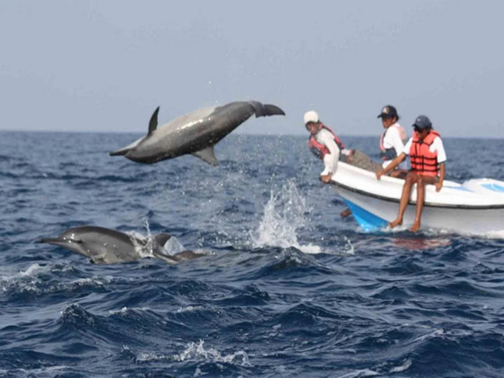 Bar Reef Resort - Dolphins, Kitesurfing & Wildlife