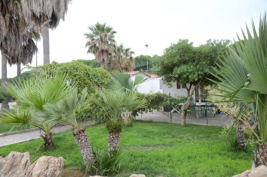 Kamemi Camping Village
