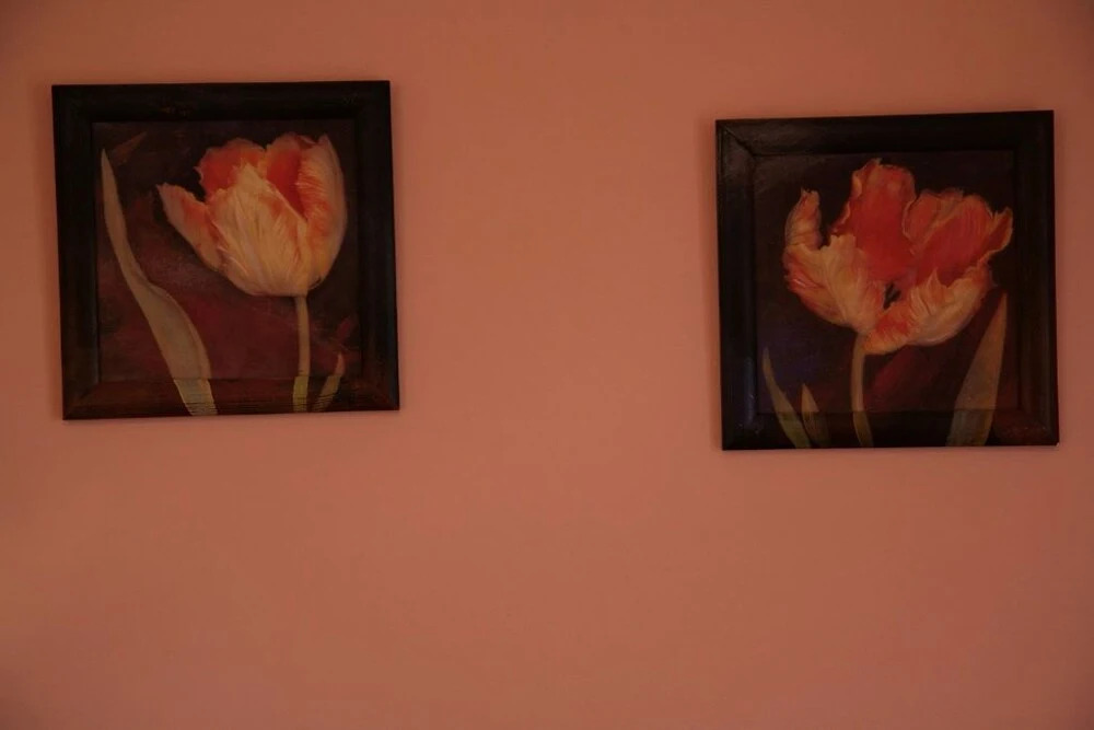 Rosemarie B&B
