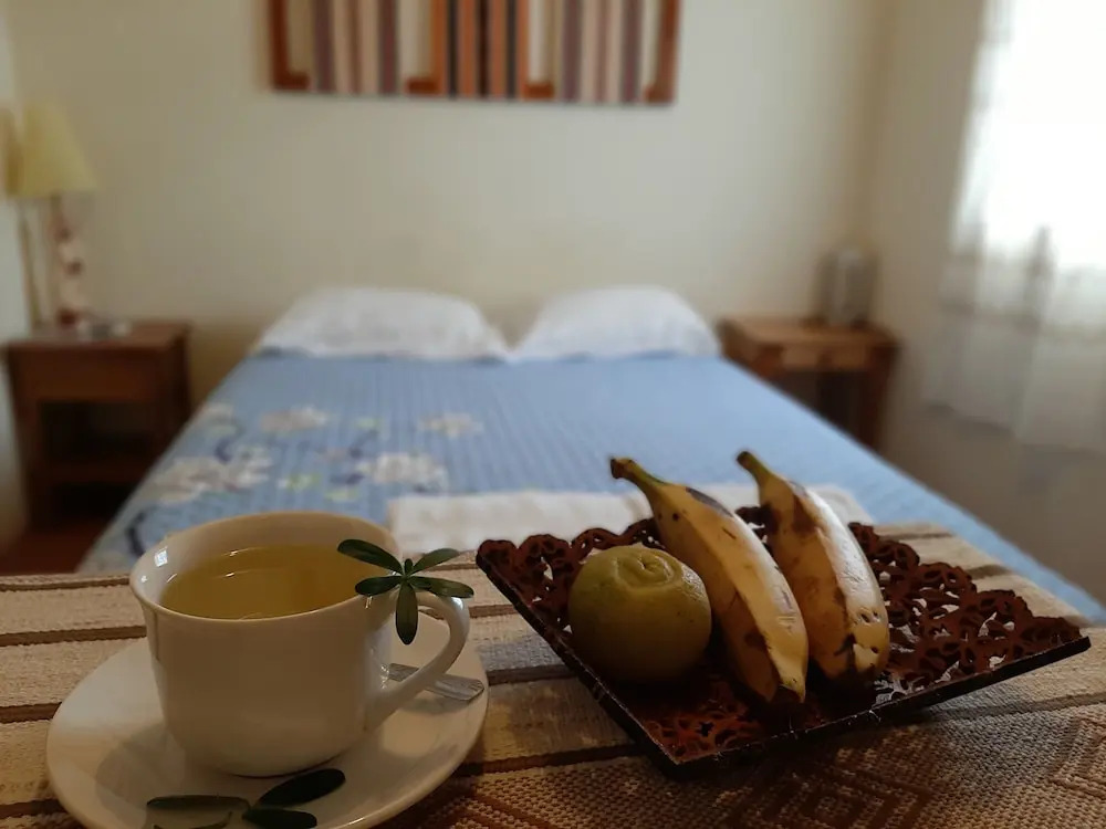 Healthy Stay Gocta