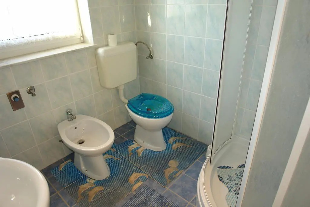 Apartment Blazic