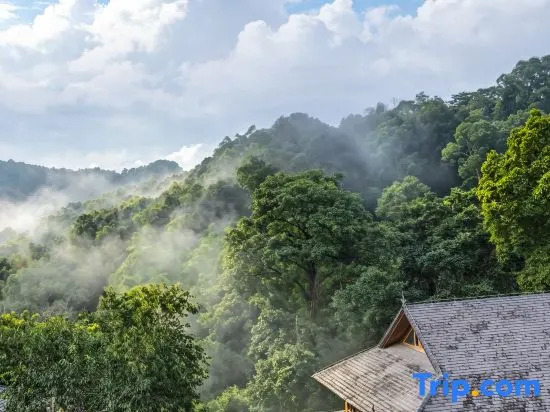Mangjing · Juyuan Sunset Sea of Clouds Courtyard