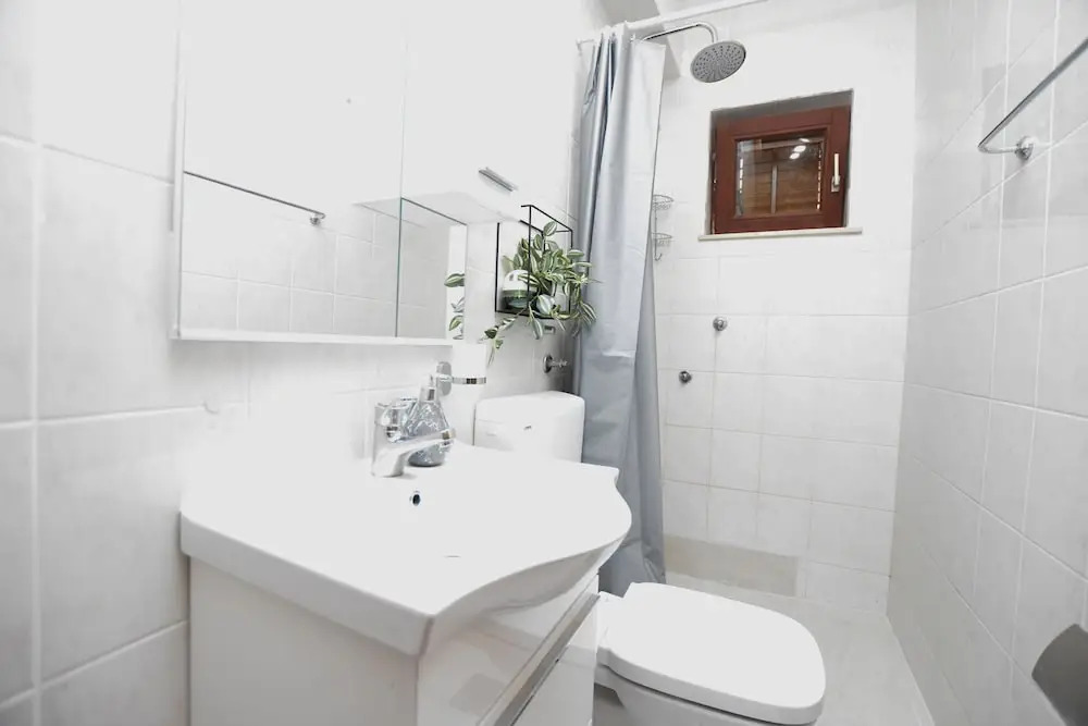 Apartments Dusan