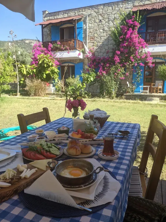 Kabuk Ev Pansiyon