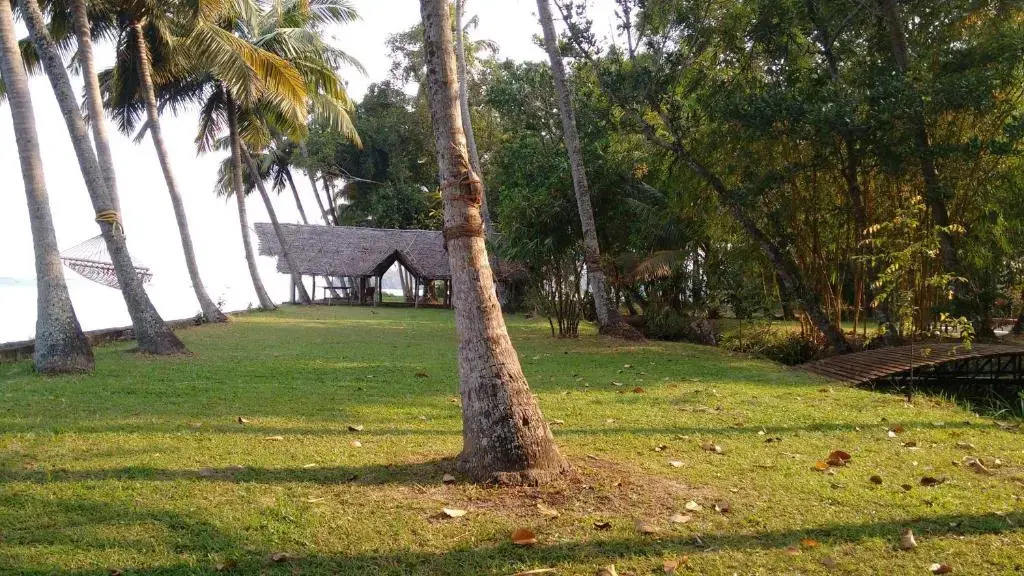 Vembanad House Boutique Back Water Homestay