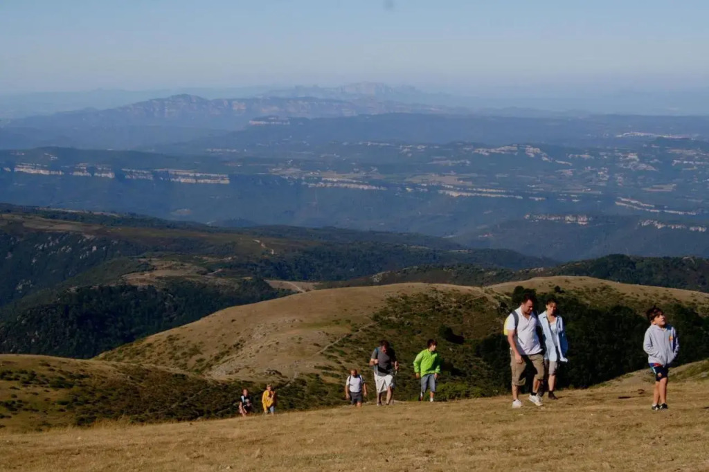 Les Margarides
