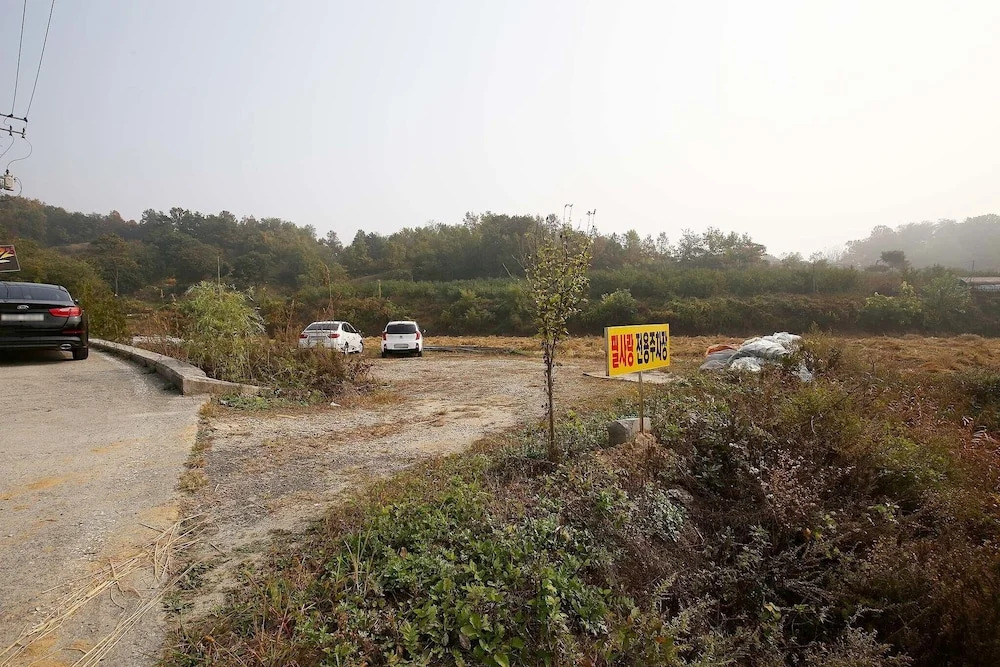 Sejong Feel Drive-IN