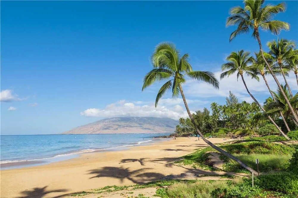 Maui Vista 1216 - One Bedroom Condo