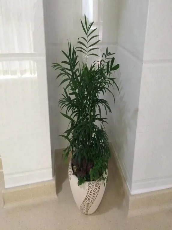 Xingfu Huafu Apartment