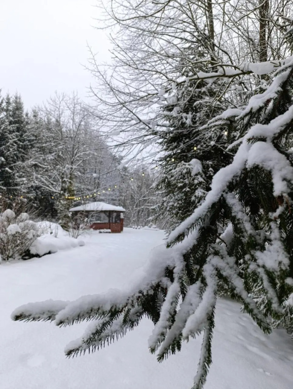 Leśny Dwór Bieszczady