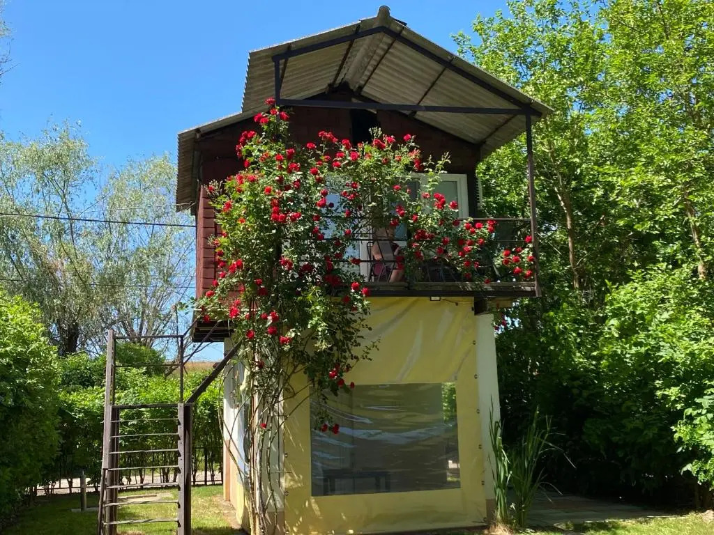 Aqua Bella Apartman