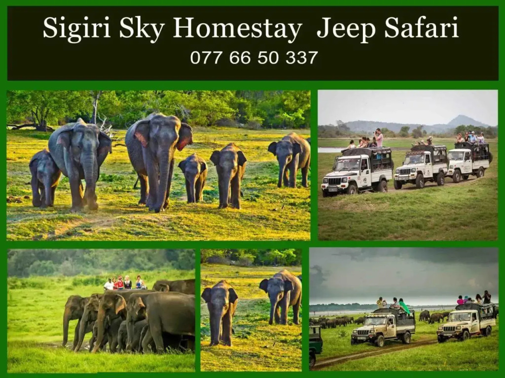 Sigiri Sky Home & TreeHouse