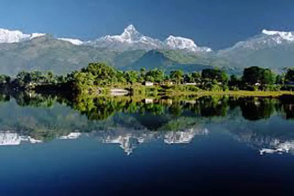 Hotel The White Lotus View Pvt Ltd