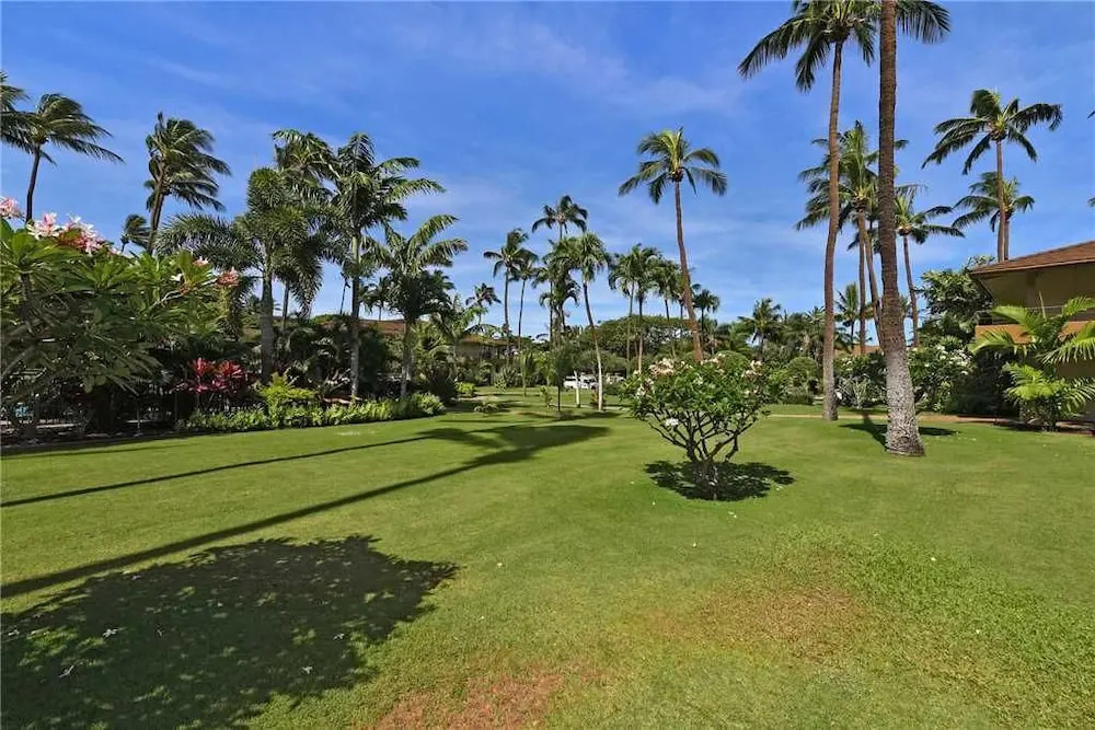Maui Kaanapali Villas 191