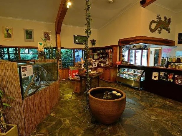 Daintree Siesta
