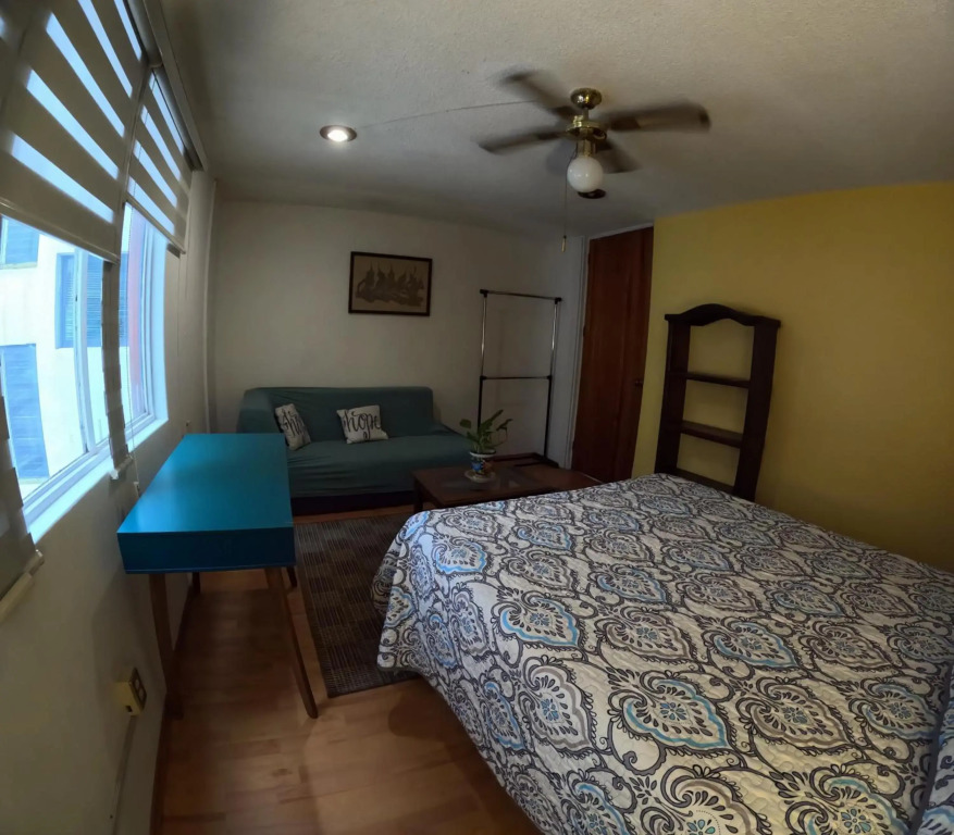 Neighbor of Frida Khalo, vintage stay in Coyoacán