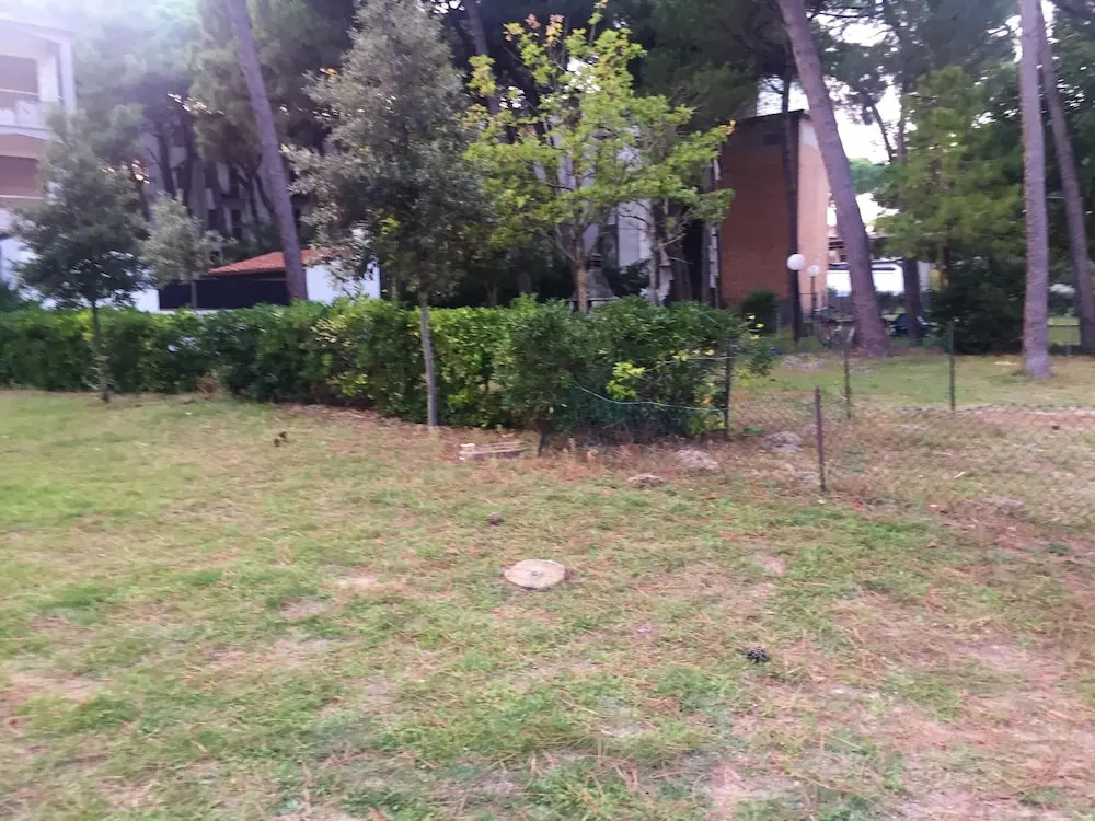 Apartment With 2 Bedrooms in Lido di Spina, With Wonderful sea View and Enclosed Garden Near the Beach