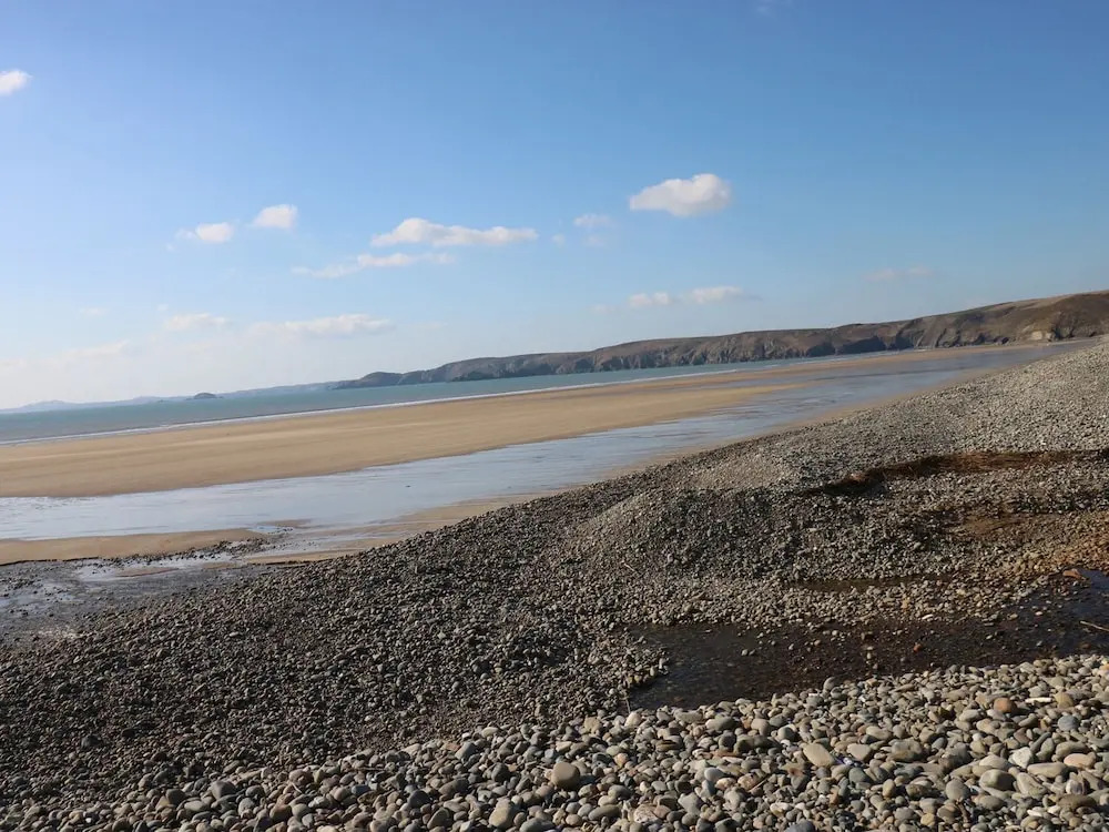 Driftwood