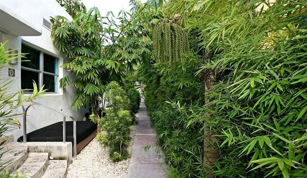 SeaStays- South Beach Apartments