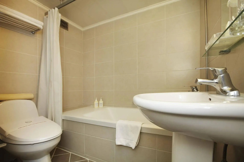 Savoy Hotel Myeongdong