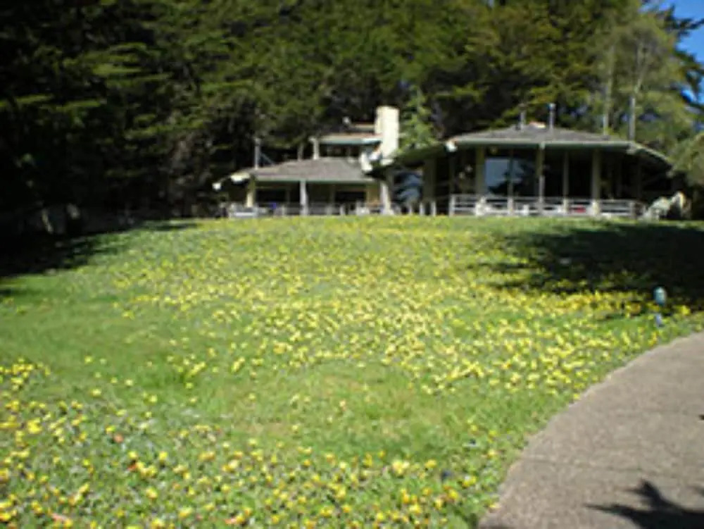 Whale Watch Inn